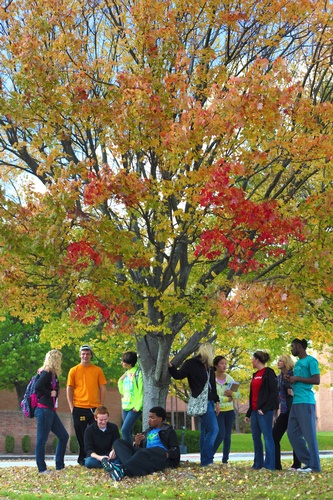 Students enjoying a fall afternoon at the Central Campus in Hillsboro