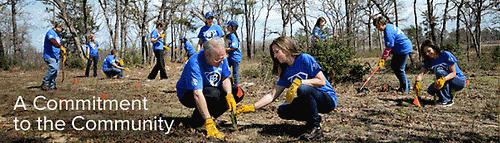 Gallery Image Bluebonnet%20Electric-community.GIF