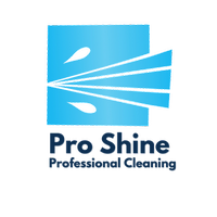 Pro Shine Professional Cleaning