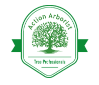 Action Arborist
