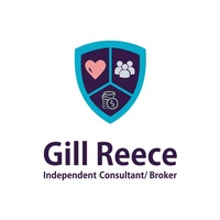 Alliance Financial - Gill Reece Alliance Financial - Gill Reece