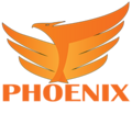 Phoenix Protection Services