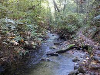 Honey Creek Trail