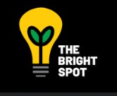 The Bright Spot