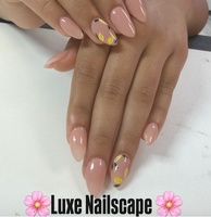 Luxe Nailscape LLC