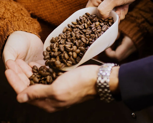 Gallery Image Screenshot%202026-01-22%20102603.png