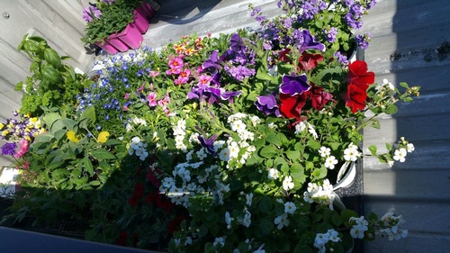 Gallery Image o%20(3).jpg