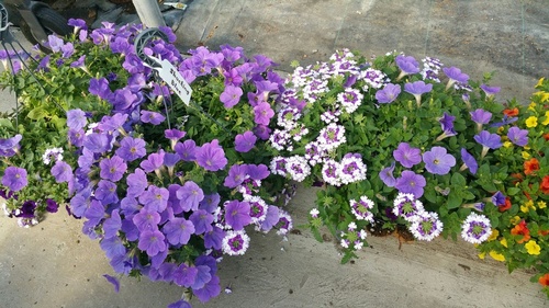 Gallery Image o%20(4).jpg