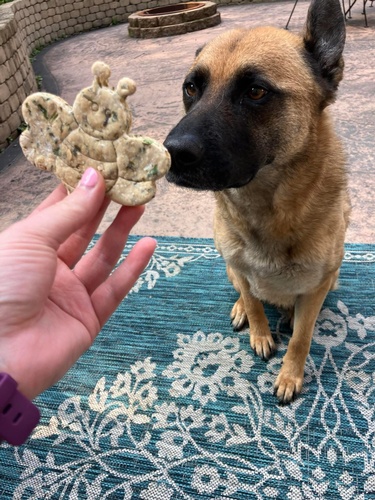 Gallery Image 505090012_739484725271541_53219999404611965.jpg