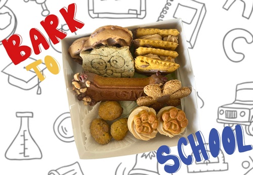 Gallery Image 532035463_791587743394572_47451583938144148.jpg