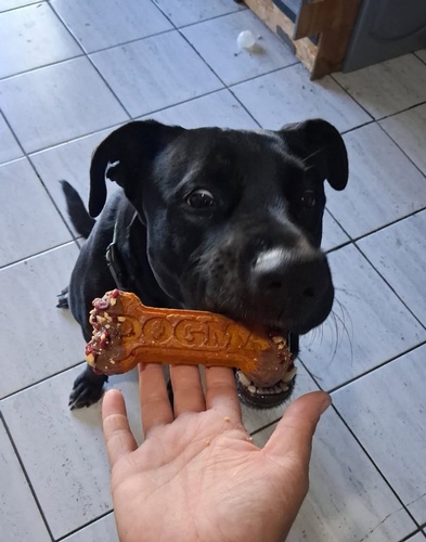 Gallery Image 545600572_812398004646879_67005123199571785.jpg