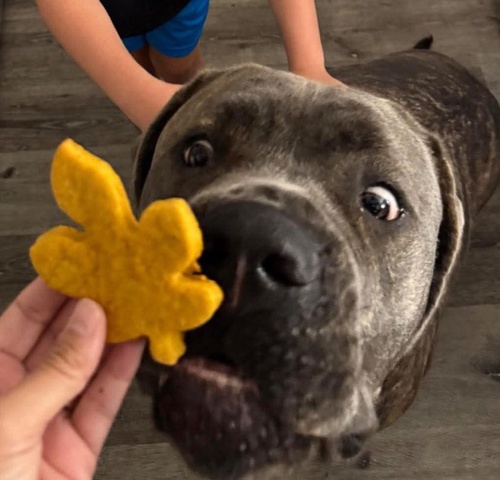 Gallery Image 551060257_824007976819215_25827836866975051.jpg