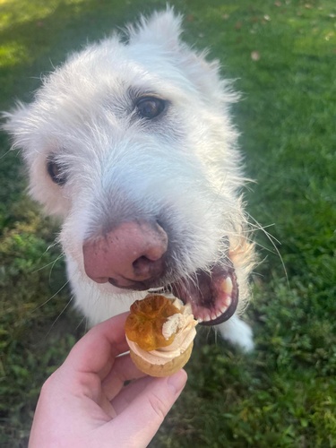 Gallery Image 557160440_833127909240555_43268416310275951_211125-035953.jpg