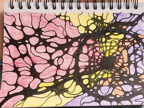 Gallery Image 503582255_122113914788864872_255568288782.jpg