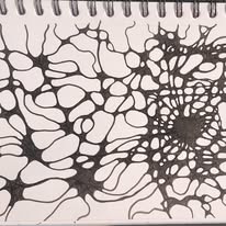 Gallery Image 597941509_122151232550864872_308774160092.jpg