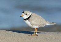 West Central Ohio Birding Community