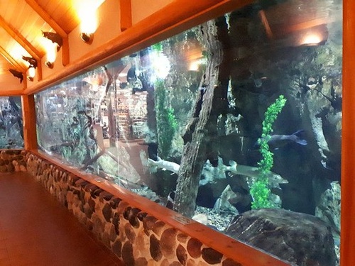 Gallery Image aquarium.jpg