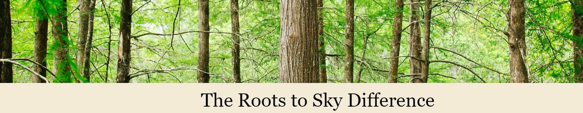 Roots to Sky Consulting, LLC