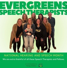 Evergreen Therapy Solutions, LLC Evergreen Therapy Solutions, LLC