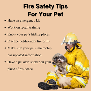 Gallery Image Fire%20Safety%20Tips.png