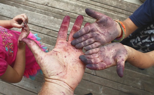 Gallery Image Stained%20Hands.jpg