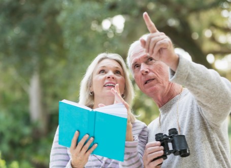 Gallery Image Birdwatching.jpg