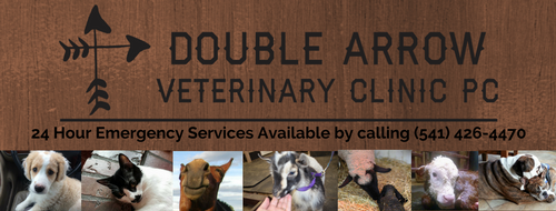 Gallery Image double2_180423-052820.png