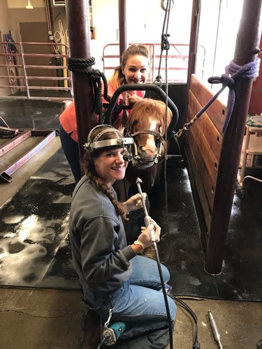 Gallery Image double4_180423-052853.jpg