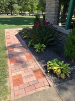 Old No. 9 Garden Club