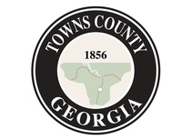 Towns County Commissioner