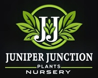 Juniper Junction Plants