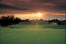 Golf course Sunset