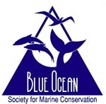 Blue Ocean Society for Marine Conservation