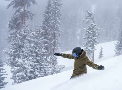 Gallery Image SB%202.png