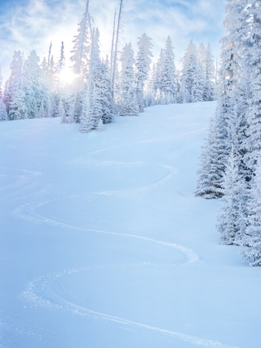 Gallery Image SB%203.png