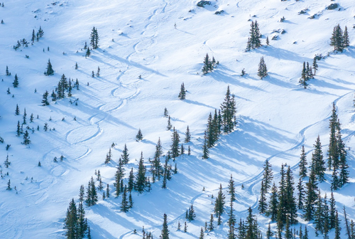 Gallery Image Sb%204.png