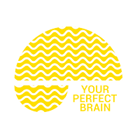Your Perfect Brain, LLC