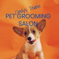 Cindy's Divine Pet Grooming Salon 