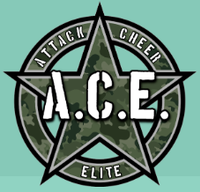Attack Cheer Elite Attack Cheer Elite