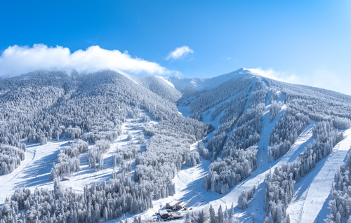 Gallery Image Screenshot%202026-05-04%20150245.png