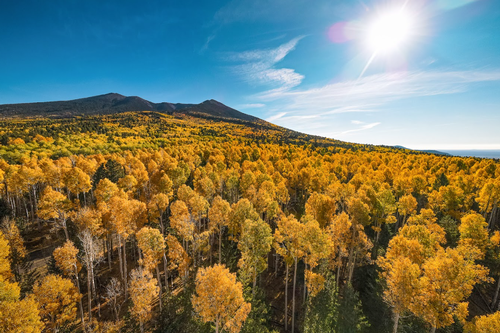 Gallery Image Screenshot%202026-05-06%20150706.png