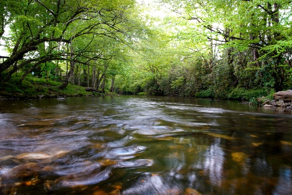 Gallery Image LH%20River.jpg Gallery Image LH%20River.jpg