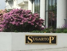 Sugar Top Resort Condominium Association, Inc