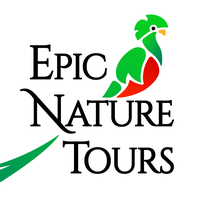 Epic Nature Tours