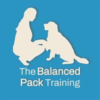 Balanced Pack Dog Training