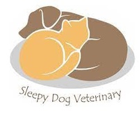 Sleepy Dog Veterinary