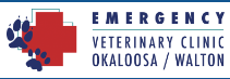 Emergency Veterinary Clinic 