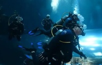 Fohmi Seas LLC - Scuba Instruction