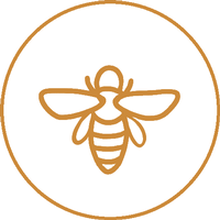 The Social Bee Marketing Agency