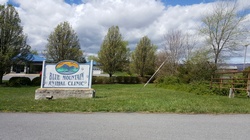Blue Mountain Animal Clinic